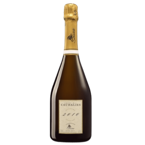 Champagne De Sousa Cuvée Des Caudalies 2010 Bio 75cl